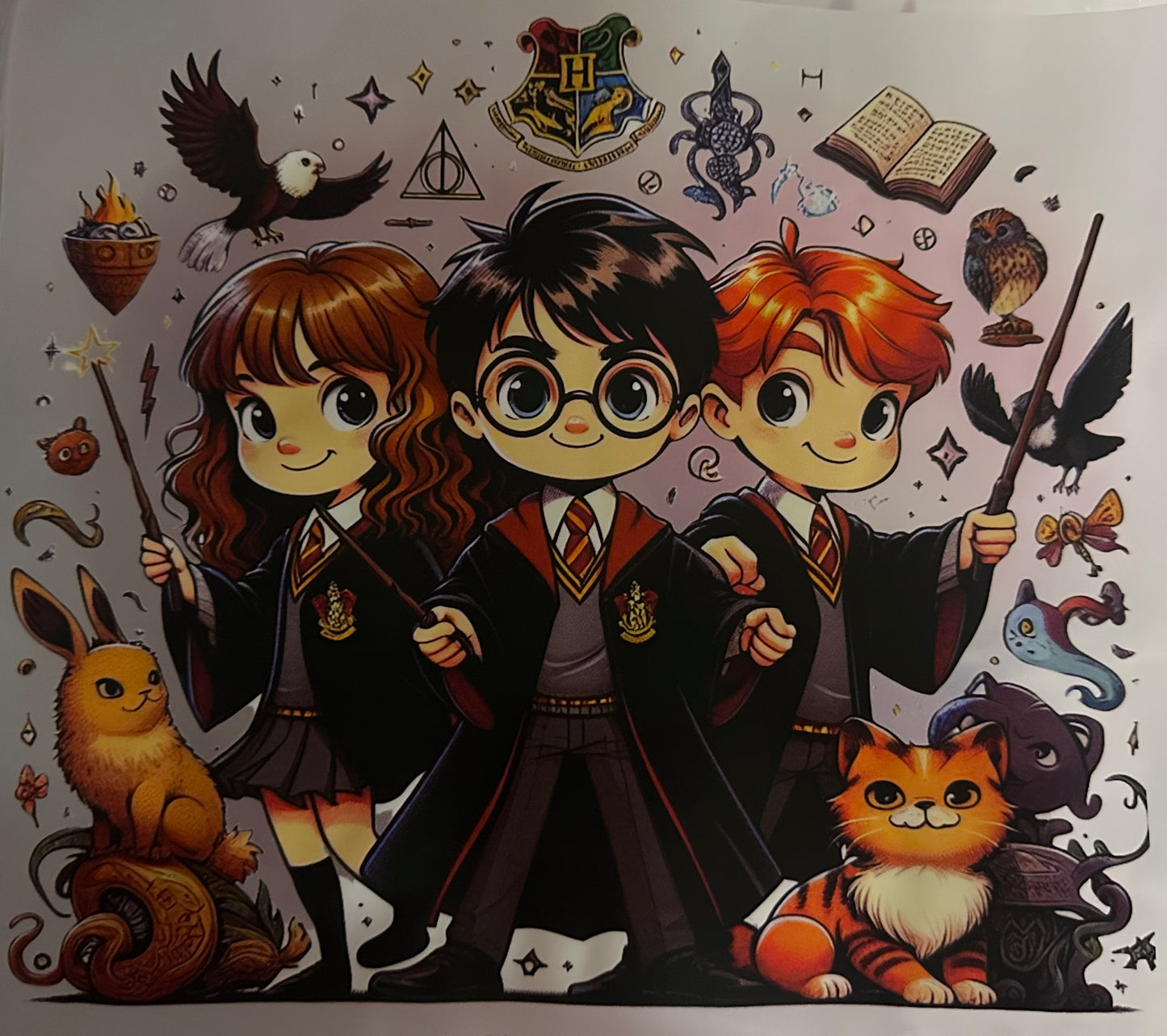 Harry Potter Shirts